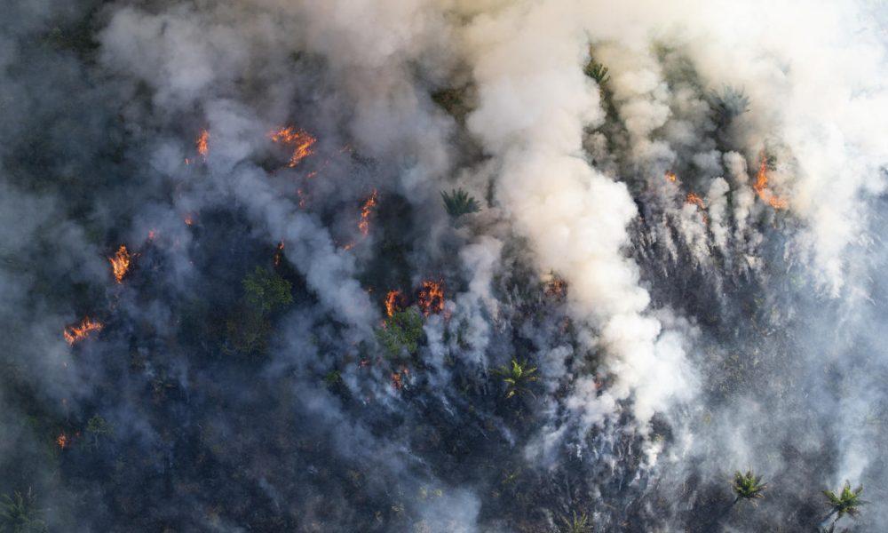 O ar é insuportável”: Os impactos das queimadas associadas ao desmatamento  da Amazônia brasileira na saúde