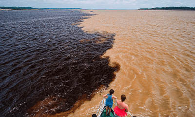 amazonas-aparece-em-19o-lugar-