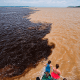 amazonas-aparece-em-19o-lugar-
