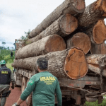 com-mais-fiscalizacao-registro