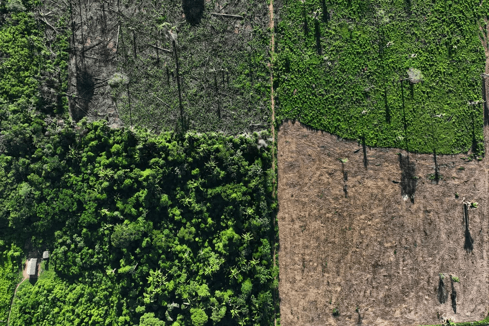 desmatamento-na-amazonia-em-20
