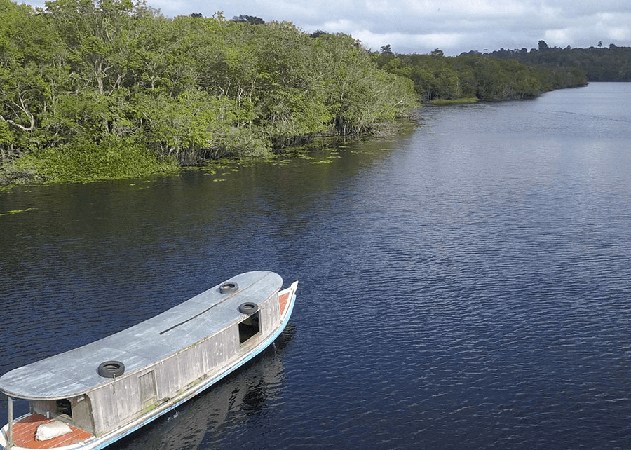 pesquisa-mostra-que-amazonia-r