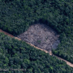 amazonia-justica-condenou-732-