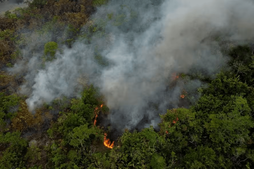 pesquisa-diz-que-amazonia-so-r