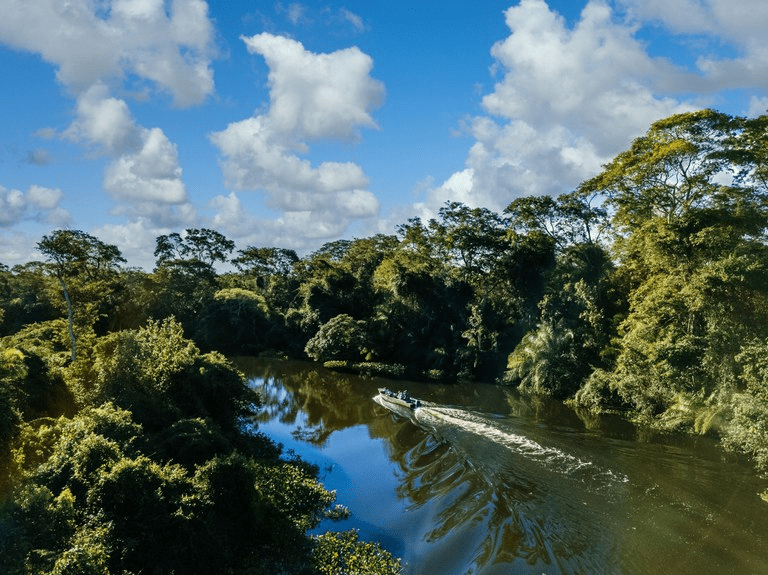 fundo-de-biodiversidade-britan