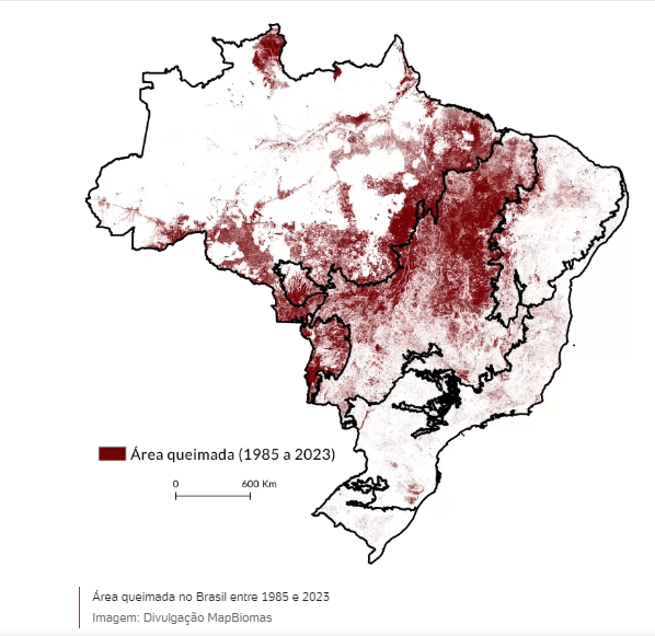 queimadas-um-em-cada-quatro-he