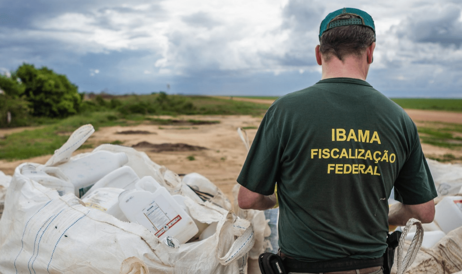 Servidores do Ibama e ICMbio entregam cargos e fazem paralisação no Dia ...