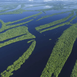 financiamento-da-sustentabilid