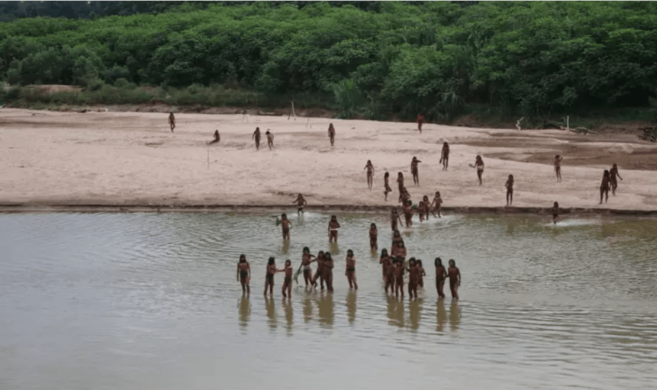 indigenas-nao-contactados-sao-