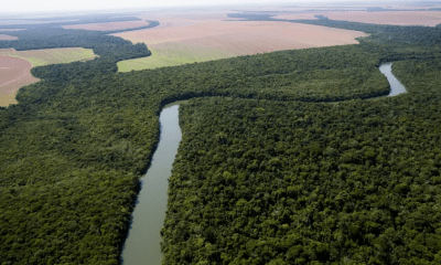 indigenas-rompem-com-grupo-de-