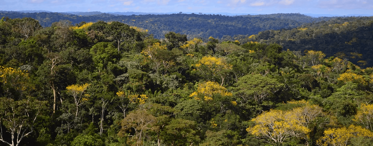 justica-federal-no-amazonas-co