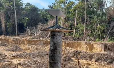 laranjas-dominam-antenas-starl