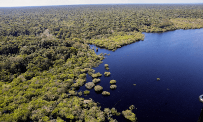 museu-das-amazonias-e-lancado-