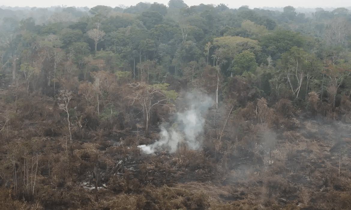 amazonia-tem-25-milhoes-de-hec