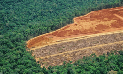 estudo-diz-que-desmatamento-pr