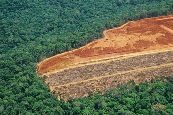 estudo-diz-que-desmatamento-pr