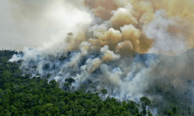 incendios-na-amazonia-brasilei