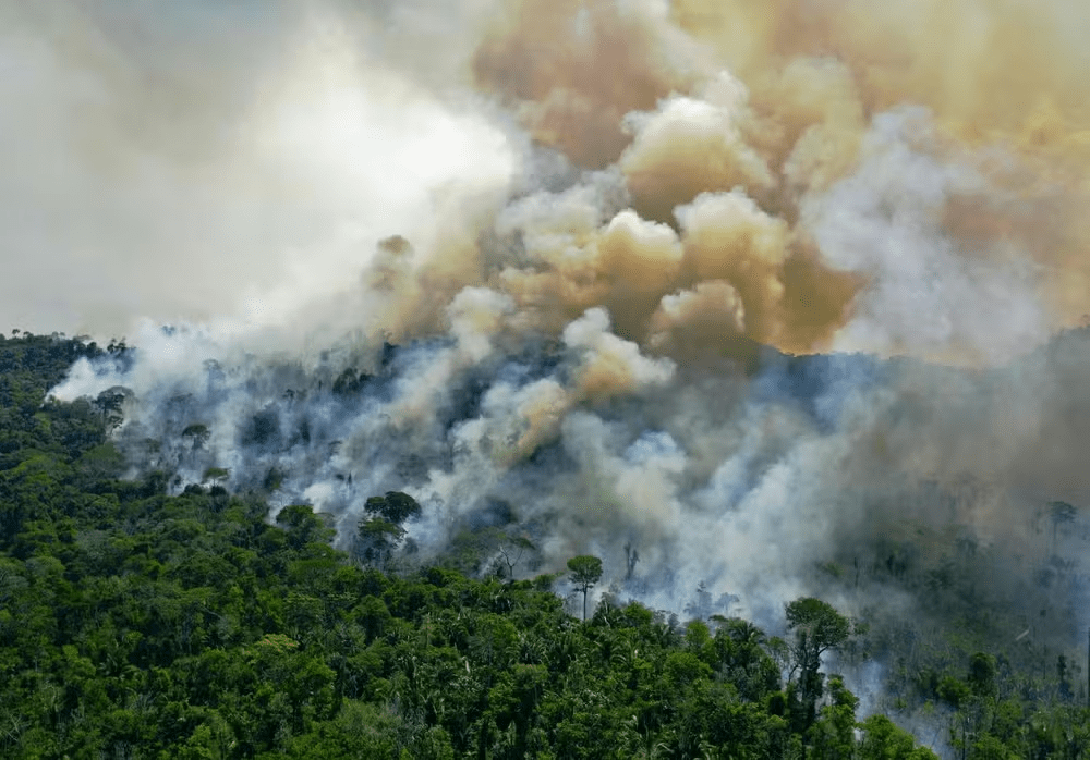 incendios-na-amazonia-brasilei