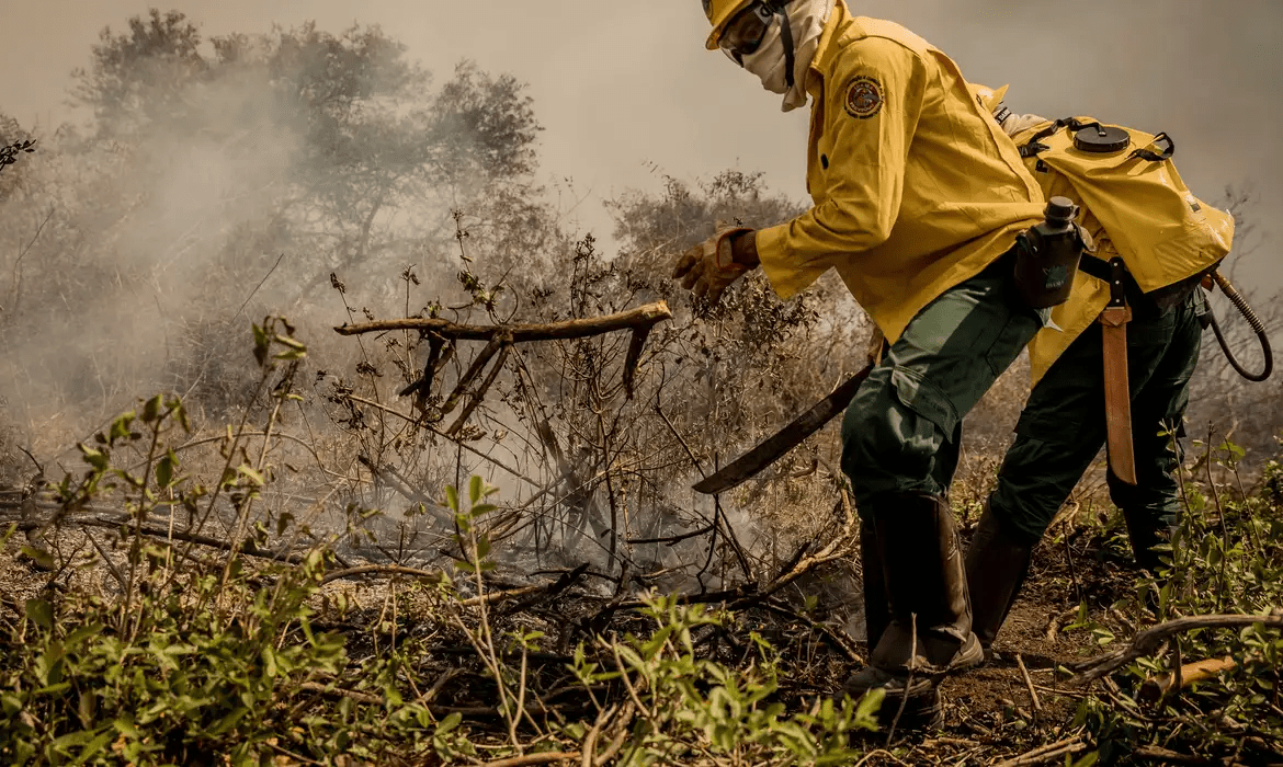 incendios-no-pantanal-ja-consu