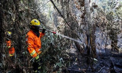 acoes-contra-fogo-foram-insufi