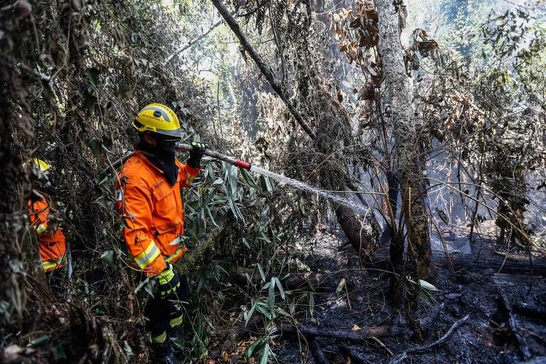 acoes-contra-fogo-foram-insufi