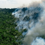 crise-climatica-ministra-marin