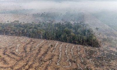 fogo-na-amazonia-se-concentra-