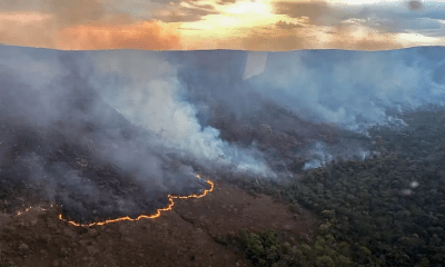 incendio-queima-10-mil-hectare