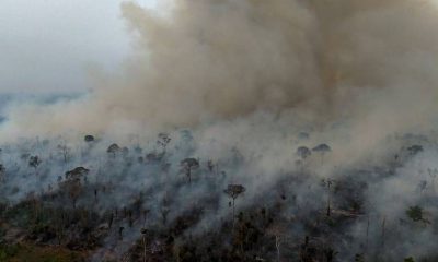 megaincendios-na-amazonia-acel