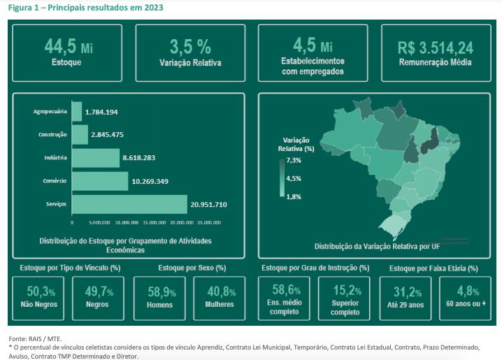 rais-2023-setor-de-servicos-fo