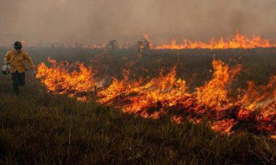 brasil-tem-791-focos-de-incend