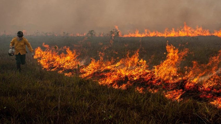 brasil-tem-791-focos-de-incend