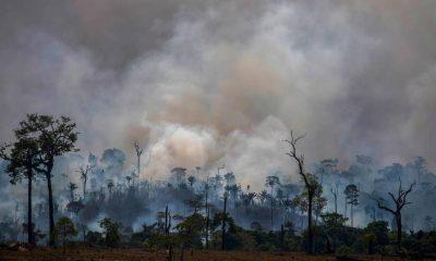 brasil-tem-976-focos-de-incend