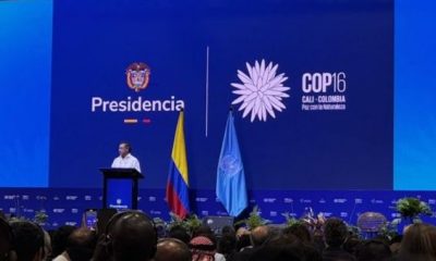 cop16-indigenas-exigem-apoio-f