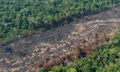 degradacao-da-amazonia-passa-d