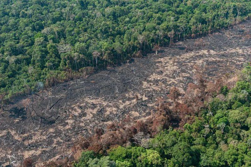 degradacao-da-amazonia-passa-d