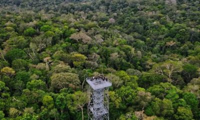 especialistas-em-arqueologia-a