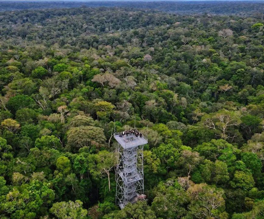 especialistas-em-arqueologia-a