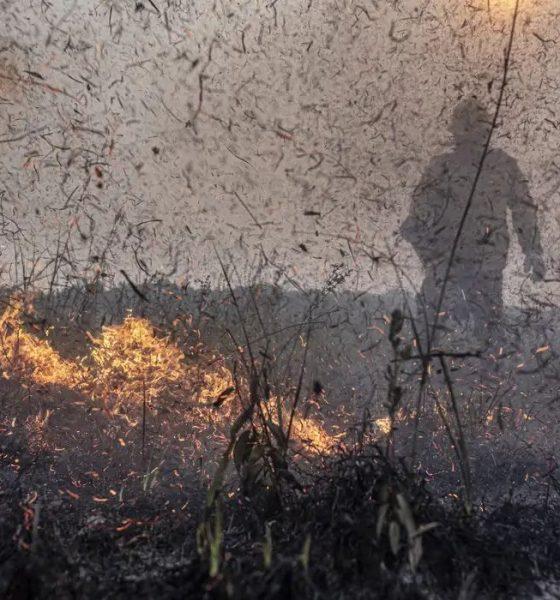 focos-de-incendios-no-brasil-j