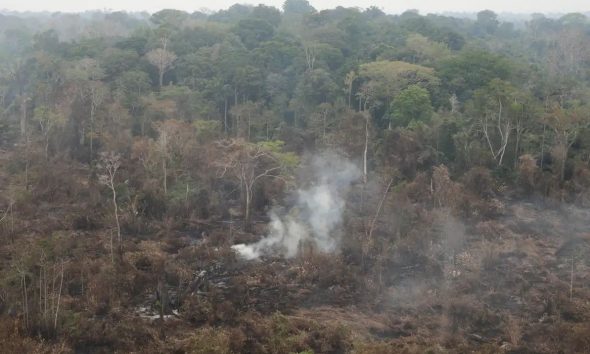 quase-5-milhoes-de-hectares-de