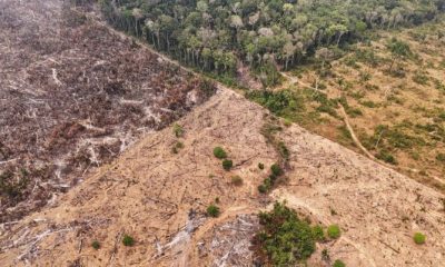 amazonas-tem-areas-com-maior-r