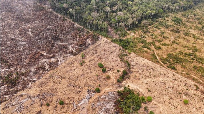 amazonas-tem-areas-com-maior-r