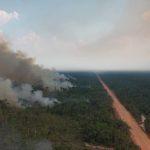 amazonia-concentrou-625-dos-22