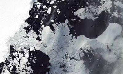 cientistas-sugerem-mudancas-pr