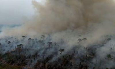 amazonia-legal-bate-recorde-de