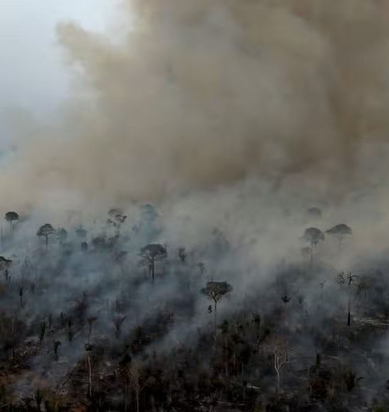 amazonia-legal-bate-recorde-de