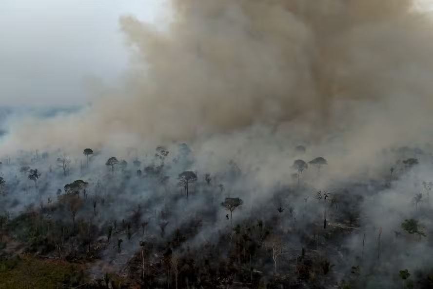 amazonia-legal-bate-recorde-de