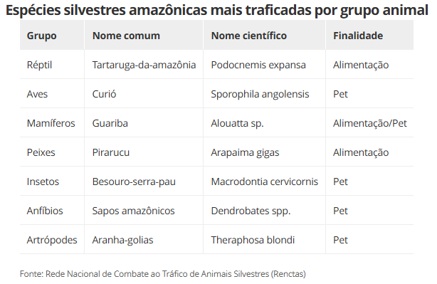 aracnideos-serpentes-e-sapos-p