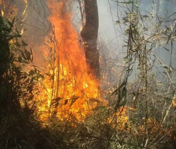 el-nino-eleva-risco-de-seca-e-