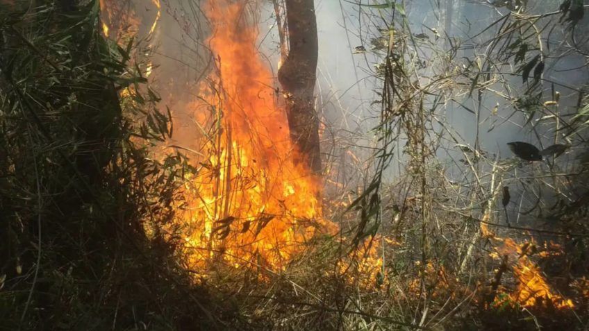 el-nino-eleva-risco-de-seca-e-